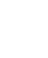 XINZHITE