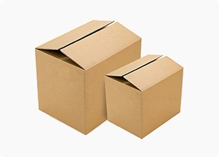 Carton Packaging