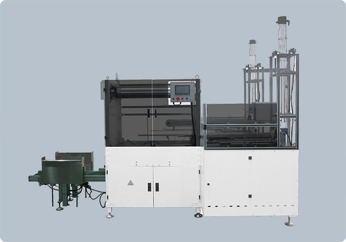 Fully Automatic Double Lines Paper Cup Packing Machine